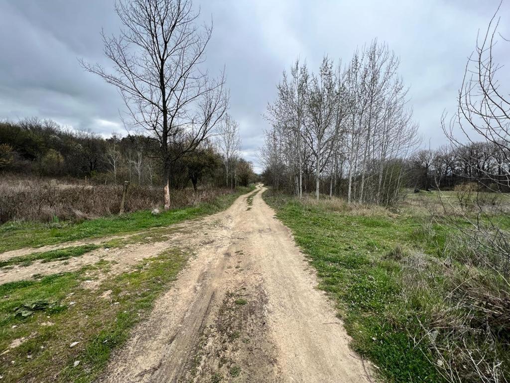 Къмпинг Частен Двор Bulgarian Campsite For Tents คาซานลัก ภายนอก รูปภาพ
